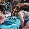 Süße Fine sucht liebevolles Zuhause