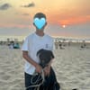 Traumhund Milan sucht seine Menschen