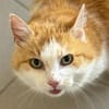 Charakterstarker Rusty