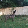 GRETA -Sonnenschein mit viel Charme-