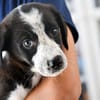Sibilla sucht engen Familienanschluss