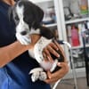 Sibilla sucht engen Familienanschluss