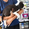 Sibilla sucht engen Familienanschluss