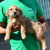 Wird Alessia Ihr neues Familiemmitglied?