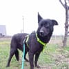 LESLY auf PS in 65594 Runkel