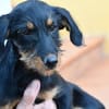 Sara sucht liebe Menschen