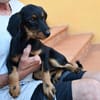 Sara sucht liebe Menschen