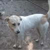 Maiti