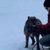 Sakima sucht eine liebevolle Familie