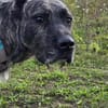 Sakima sucht eine liebevolle Familie