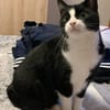 CATLYN & MIYABI wollen zusammen bleiben