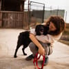 BAILEY ANA  Kleine Frohnatur mit ganz viel Herz