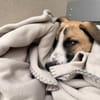 Winny sucht ein ruhiges Zuhause