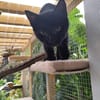Unsere Flaschenkinder suchen ihr Glück