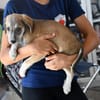 Darf Saverio zu Ihnen gehören?