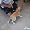 Sergio sucht sein Körbchen