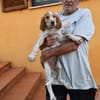 Übernehmen Sie Verantwortung für Enrico?