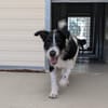 OTIS