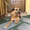 RAMBO (MARTINA)