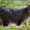 Aurora sucht ihr Glück