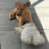 Ida ein sehr liebes Mädchen