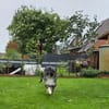 LILA  ein Engel, Pflegefamilie Kevelaer