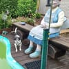 Raton - jetzt Rocky, Hundeopi sucht Zuhause