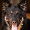 Gero