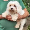 Amalka° 66740 Saarlouis
