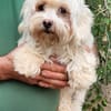 Amalka° 66740 Saarlouis