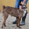 Nadia, aktiv, freundlich, aufgeschlossen