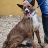 Nadia, aktiv, freundlich, aufgeschlossen