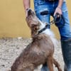 Nadia, aktiv, freundlich, aufgeschlossen
