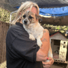 Shira