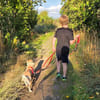 Joey  kleiner Familienhund mit großem Lernwillen