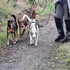 Chira ein Mädchen für leise, sanfte Menschen