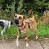 Soziale GINA liebt die MenschenPLZ 64807