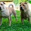 Rita und Theo