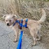 Lupita, verschmust, neugierig, offen