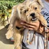 Lupita, verschmust, neugierig, offen