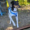 Gary sucht sein Zuhause