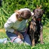 Wunderbarer jung Mischlings Hund Alex
