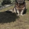Nasti sucht ruhiges Zuhause