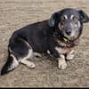 Nasti sucht ruhiges Zuhause