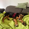 Bill sucht ein liebevolles Zuhause