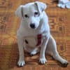Luna ist ein liebevolles und fröhliches Mädchen