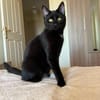 Zephyr & Kiki Verspieltes Dreamteam sucht  Familie