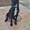 NEO (Martina)