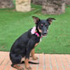 WANDA (Martina)