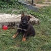 Jack